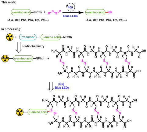 海南师范大学热带药用资源教育部重点实验室在国际权威期刊Chemical Communication以封